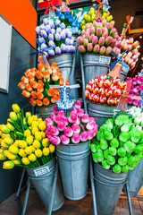 Tulips in the buckets on market street