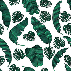 Seamless pattern of exotic banana leaves and monstera leaves isolated on transparent background. Decorative image with tropical foliage.