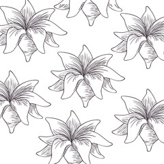 pattern flowers and leafs isolated icon