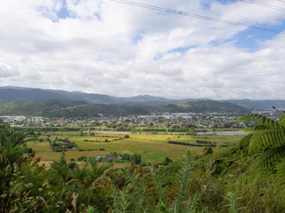 Landscape View Of Totara Park And Upper Hutt