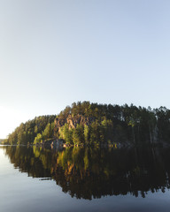 reflection of trees in water