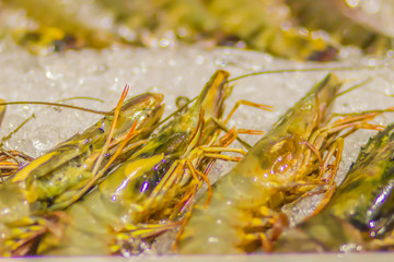 Giant tiger prawns for sale in a supermarket. Extra large size of Penaeus monodon, commonly known as the giant tiger prawn or Asian tiger shrimp is a marine crustacean that is widely reared for food.