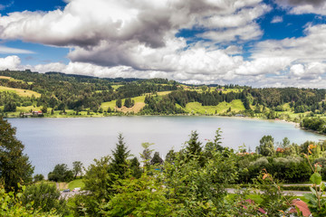 Fototapeta premium Blick auf den großen Alpsee bei Bühl / Immenstadt