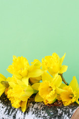 Easter decoration with daffodils on bark.