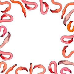 Frame with flamingos