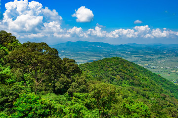 Fototapeta na wymiar jungle view from the top