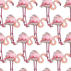 Obraz premium Seamless background with flamingos