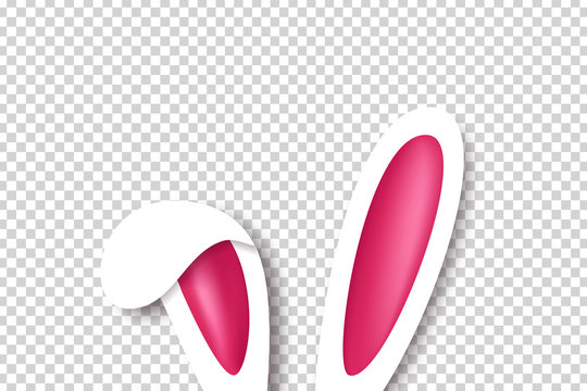 Vector realistic isolated bunny ears for template and layout decoration on the transparent background. Concept of Happy Easter.