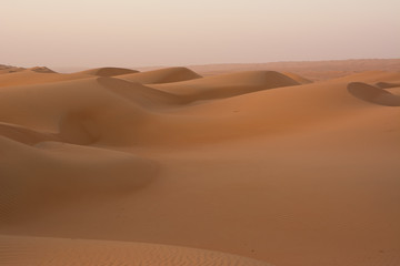 Fototapeta na wymiar Dunes of the Wahiba Sand Desert at dawn (Oman)