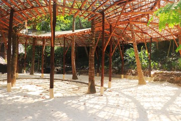 Roofs, leaves and trees