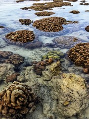 Coral beach front in Phuket,Thailand
