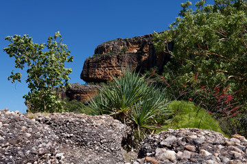 Okolice Nourlangie Rock, Park Narodowy Kakadu, NT, Australia