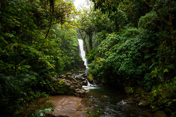  La Paz Waterfall Garden, Central Valley, Costa Rica