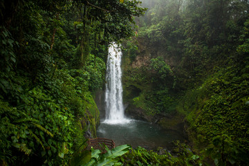  La Paz Waterfall Garden, Central Valley, Costa Rica - obrazy, fototapety, plakaty