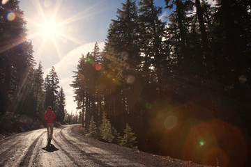 Tourist walking on road in forest  