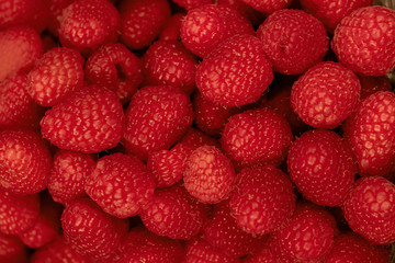 raspberry lot of berries texture background close-up 