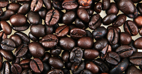 Coffee Beans Background