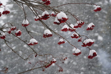 Winter in Crans-Montana