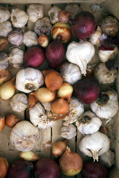 Stack of onions and garlic 