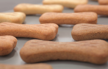 Snack food for dogs biscuits production line shaped as bone