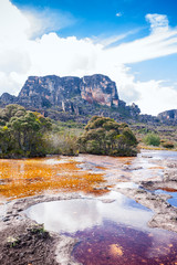 Beautiful view of the Auyantepuy. Canaima Natinal Park, Venezuela- Bolívar State. Auyantepuy is the biggest Tepuy in La Gran Sabana. 