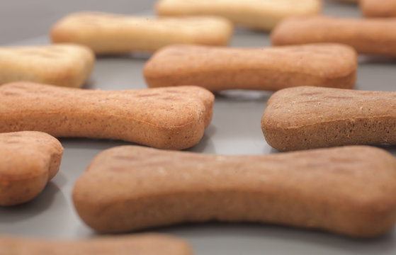 Uncommon Dangers: Can Dogs Safely Consume Sourdough Bread? Discover the truth about feeding sourdough bread to dogs. Learn the dangers, benefits, and tips to prevent harm. Can dogs eat sourdough bread? Find out now!