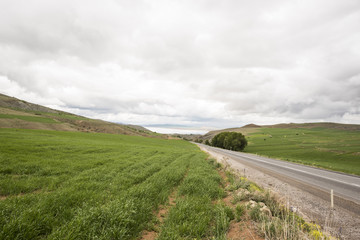 road in the field