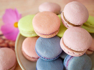 Colorful french macaroni on plate close up