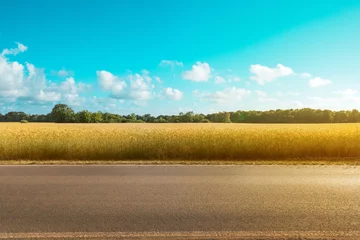 Poster lege landweg met veld en landelijke landschapsachtergrond op een zonnige dag - © hanohiki