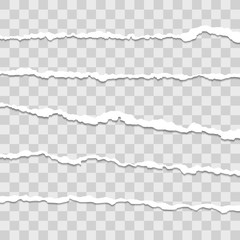 Beautiful realistic torn paper stripes vector set tamplate on transparent background.