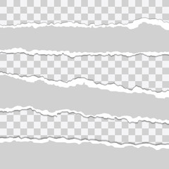 Beautiful realistic torn paper stripes vector set tamplate on transparent background.