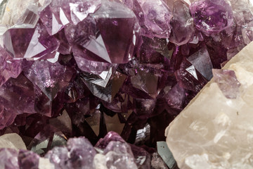 Amethyst Crystal Druse  macro mineral on white background