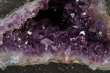 Amethyst Crystal Druse  macro mineral on white background