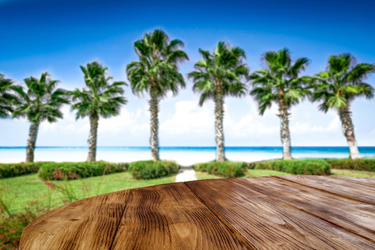 desk of free space and coco palms on beach 