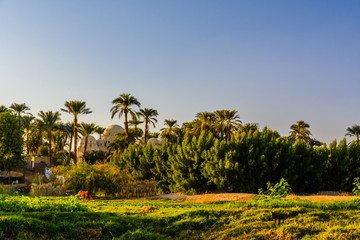Fototapeta na wymiar Bank of the Nile river in Luxor, Egypt