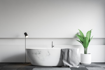 Fototapeta na wymiar White bathroom interior, marble tub