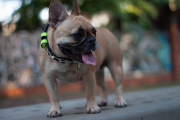 Simona in the street