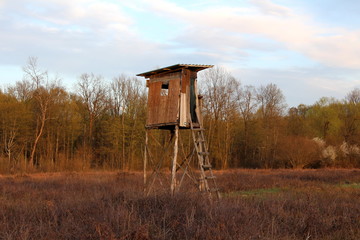 Makeshift old dilapidated hunting observation tower with cracked wooden boards and improvised wooden steps surrounded with dry high grass and other vegetation with dense trees and cloudy blue sky in b