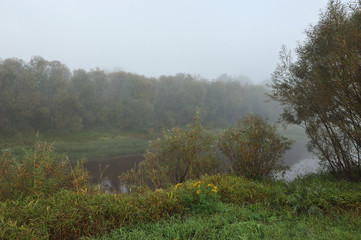 Early morning