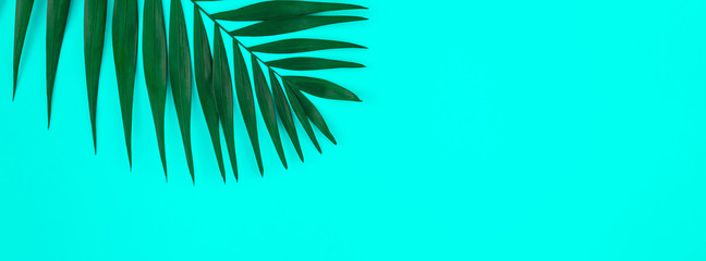 Fototapeta na wymiar Tropical palm leaves color fluorescent background