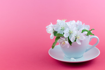 White spring apple tree blooming flowers in a cup