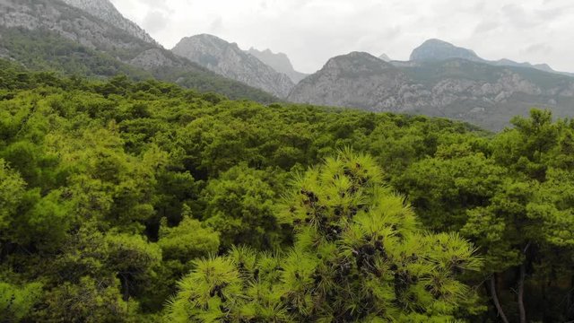 Aerial view of Mountains and Coast National Park in Turkey, Beldibi village