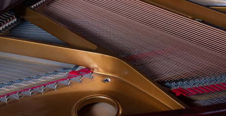 the harp of a grand piano