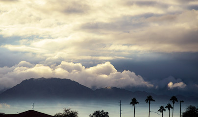 Morning mountain scene in the silhouette palm Arizona, USA