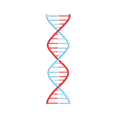 Vector DNA molecule helix spiral genetic code