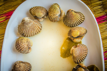 Boiled blood clams on white dish with copy space for your text. Steamed cockles frame with copy space. Blood cockles or blood clams (Tegillarca granosa) background for seafood concept.