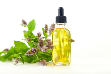 mint essential oil in  beautiful bottle on White background