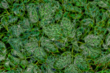  green leaves abstract texture