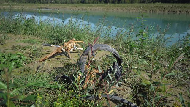 Umweltverschmutzung M&uuml;ll am Flussufer
