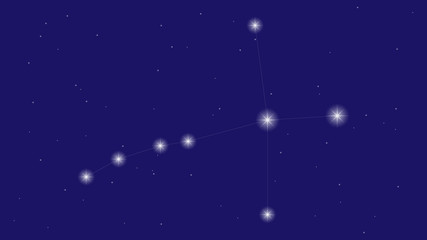 Cygnus constellation vector design. Constellation of Cygnus illustration